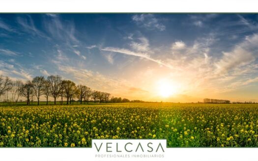 Diferencias entre suelo rústico y urbano que debes conocer | VELCASA, profesionales inmobiliarios en Sevilla