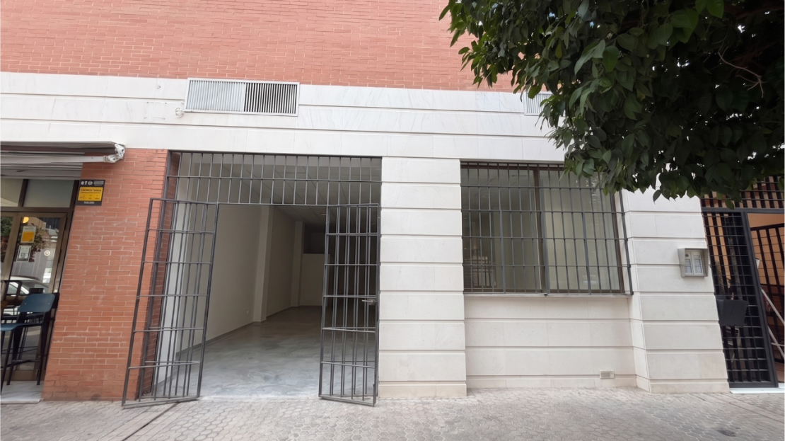video image