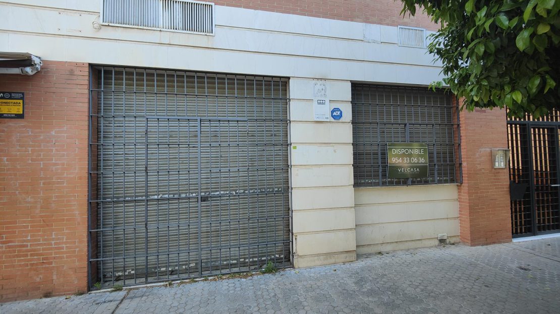 video image